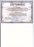 Сертификат участника школьного практико-ориентированного семинара "Организация контрольно-оценочной деятельности в условиях системно-деятельностного подхода в обучении", 2014г.
