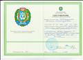 Удостоверение о краткосрочном повышении квалификации, №617, 2013г.